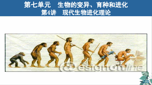 [优选]现代生物进化理论课件高考生物一轮复习