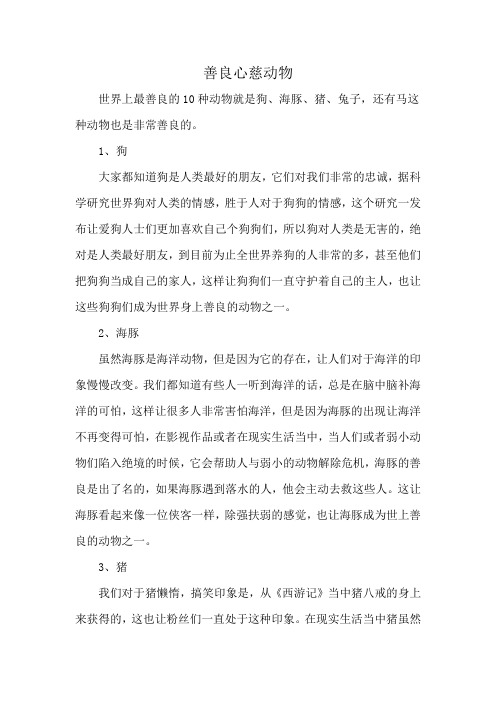 善良心慈动物