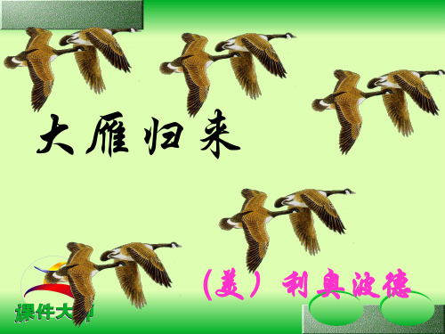 7《大雁归来》