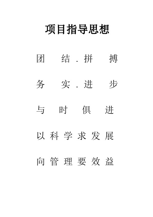 项目指导思想