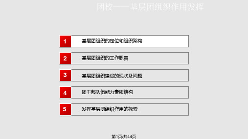 基层团组织作用发挥PPT课件