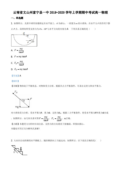 云南省文山州富宁县一中2019-2020学年高一上学期期中考试物理试题(有答案)
