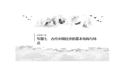 浙江高考历史总复习课件专题七古代中国经济的基本结构与特点第22讲
