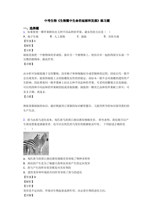 中考生物《生物圈中生命的延续和发展》练习题