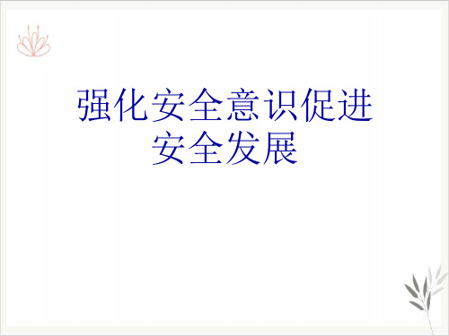 强化安全意识促进安全发展PPT课件(模板)