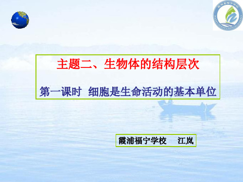 科学·技术·社会 人类探索微观世界不可缺少的工具——显微镜