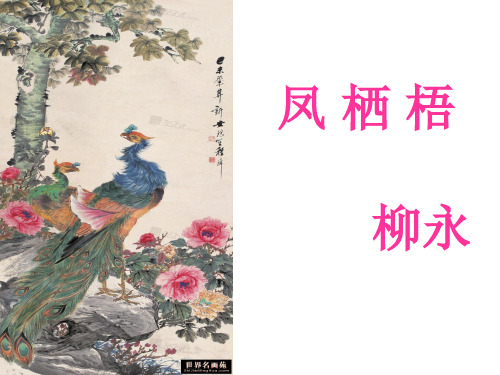 《凤栖梧》ppt课件