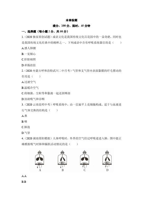 2020--2021学年人教版七年级生物下册《第三章_人体的呼吸》章末检测