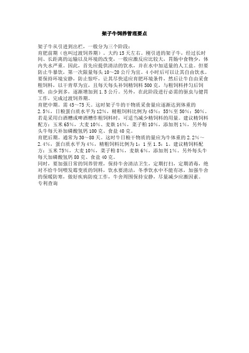架子牛饲养管理要点