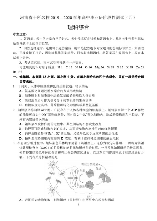 河南省十所名校2019—2020学年高中毕业班阶段性测试(四)理科综合试题Word及答案