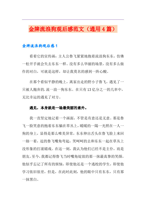 金牌流浪狗观后感范文(通用4篇)