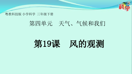 最新粤教版三年级科学下册19.风的观测