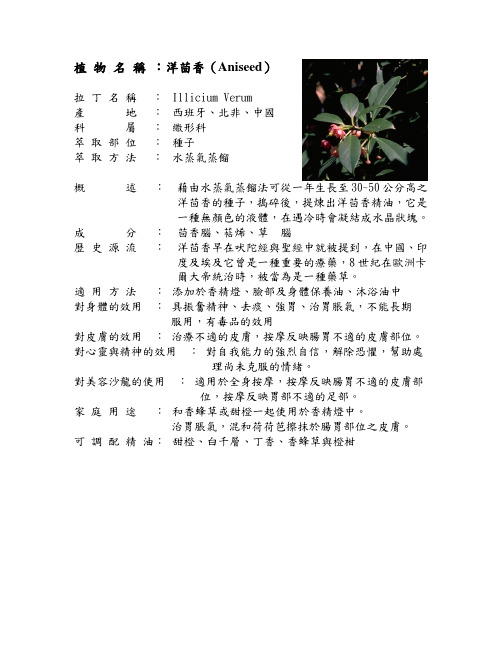 Aniseed洋茴香