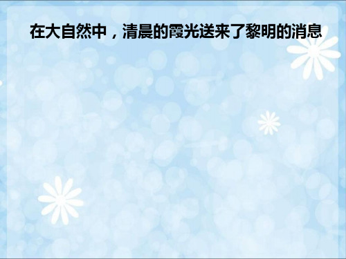 人教版小学五年级语文第六单元综合性学习—走进信息世界(精华版)课件PPT
