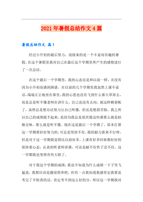 2021年暑假总结作文4篇