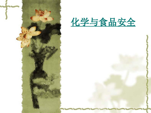 化学与食品安全【现代生活与化学ppt】