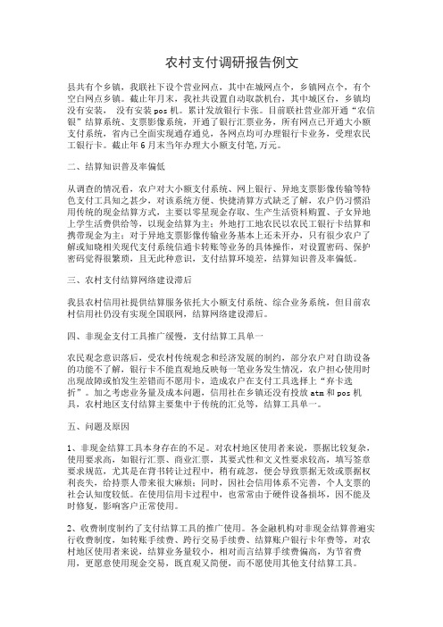 农村支付调研报告例文