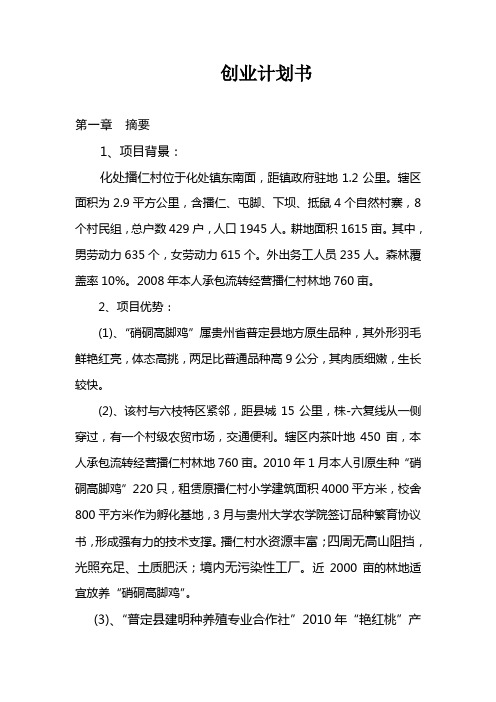 创业计划书