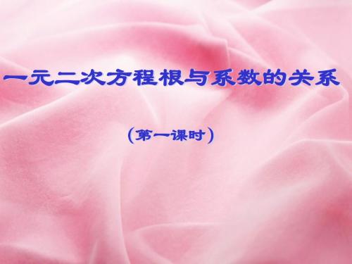 根系关系一