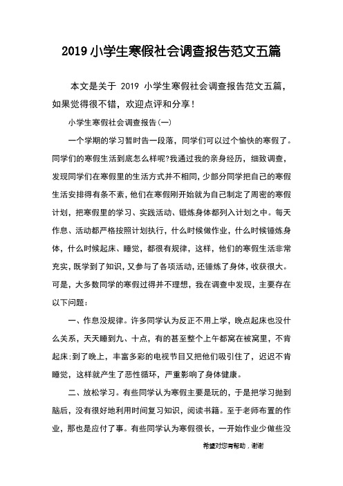 2019小学生寒假社会调查报告范文五篇