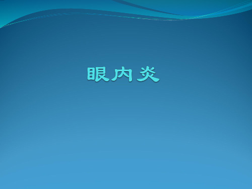 眼内炎ppt课件