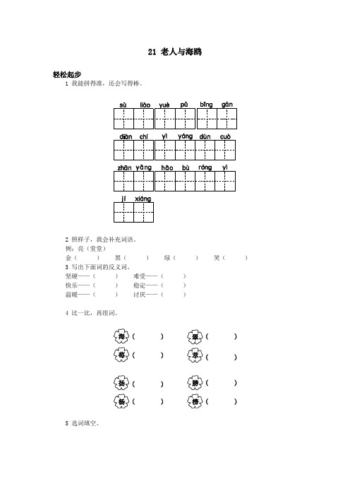 小学六年级第十一册 老人与海鸥试题及答案