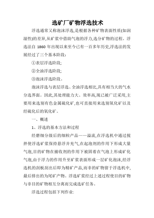 选矿厂矿物浮选技术(选矿系列2)