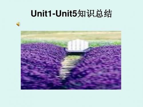 Unit1-Unit5知识总结