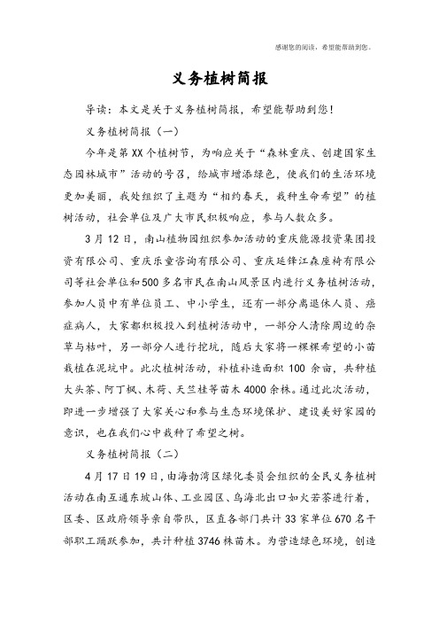 义务植树简报