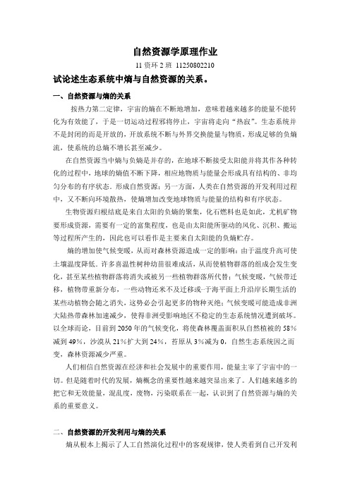 试论述生态系统中熵与自然资源的关系