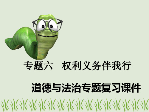 2019年广东省中考道德与法治专题复习课件-第14课时