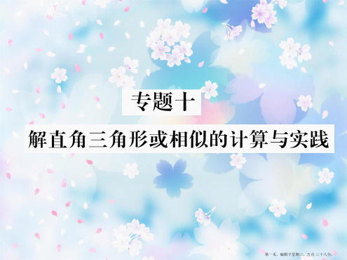 专题10  解直角三角形或相似的计算与实践