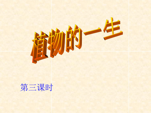 七年级科学下册 第1章 代代相传的生命 1.4 植物的一生