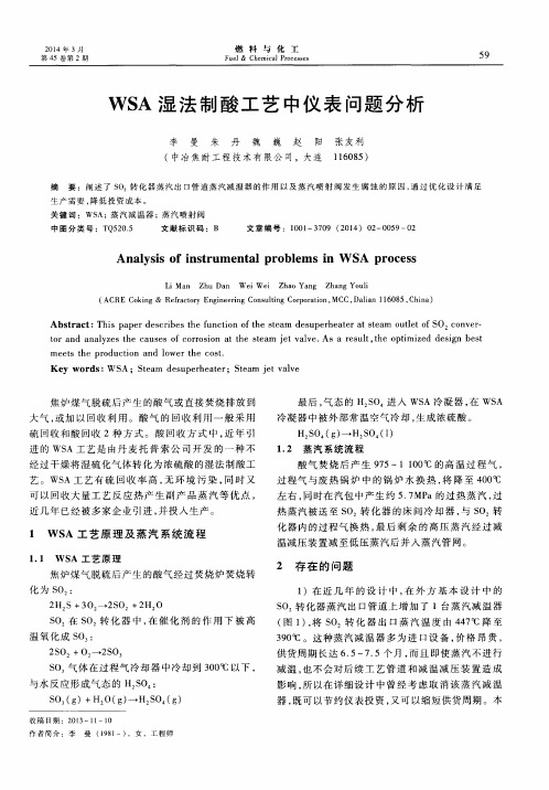 WSA 湿法制酸工艺中仪表问题分析