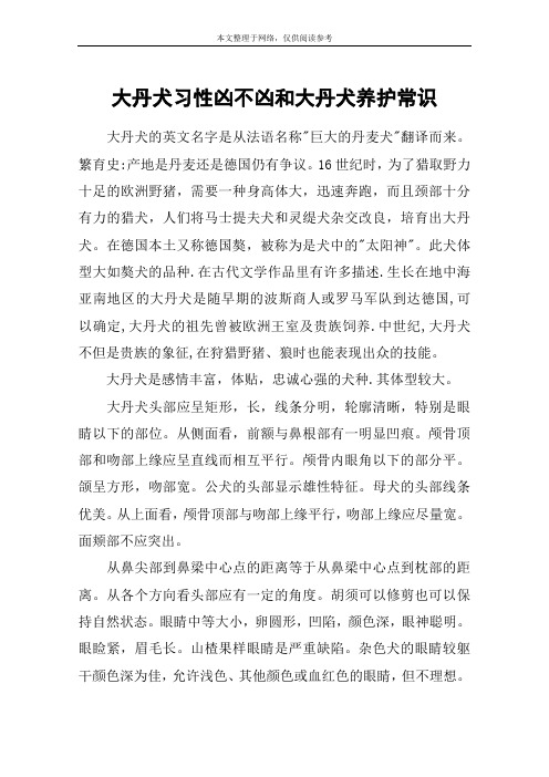大丹犬习性凶不凶和大丹犬养护常识