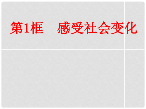 江苏省大丰市第三中学九年级政治全册《第一课第一框 感受社会变化》课件 新人教版