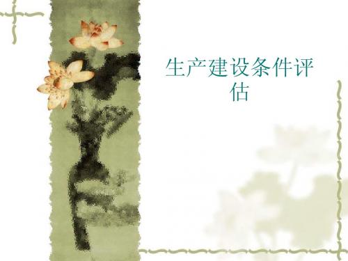 5项目建设与生产条件评估