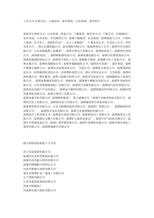 淄博大企业