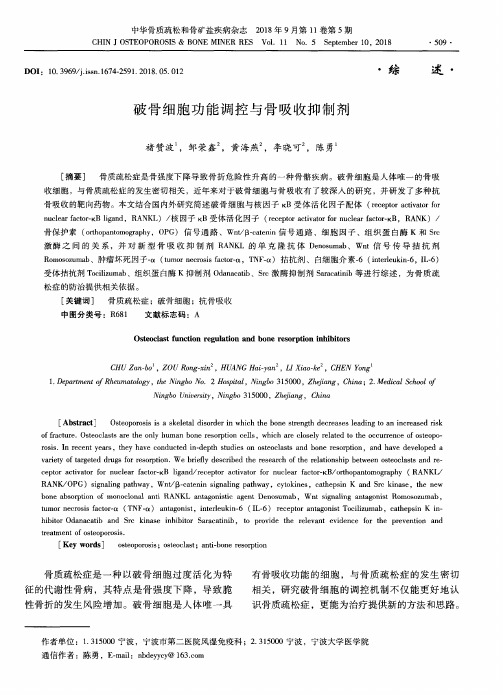破骨细胞功能调控与骨吸收抑制剂