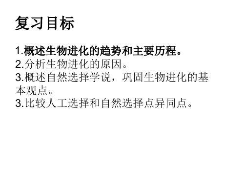 济南版生物八下1.4生物进化的原因