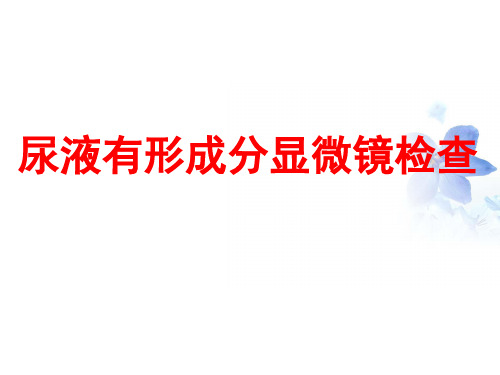 4尿液显微镜检查1