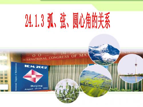 新课标_人教版初中数学九年级上册24.1.3_弧、弦、圆心角的关系