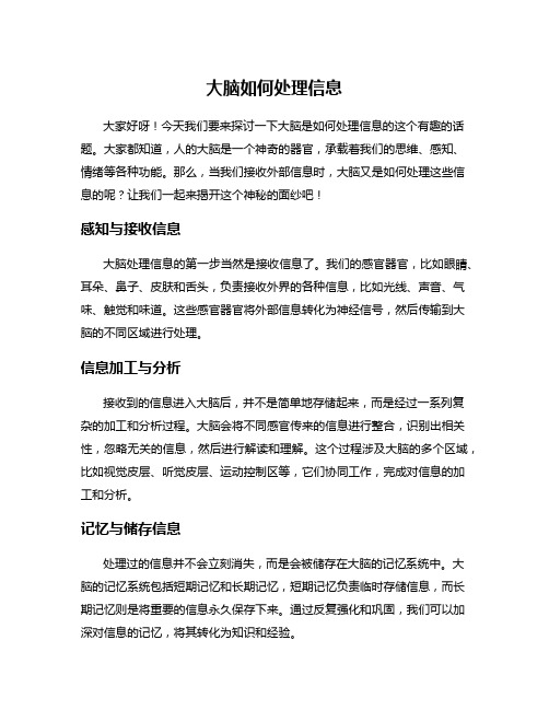 大脑如何处理信息