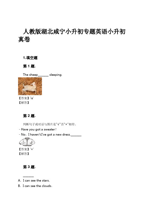 人教版湖北咸宁小升初专题英语小升初真卷试卷及解析