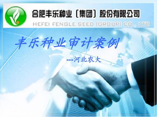 丰乐种业审计案例_1__(3)