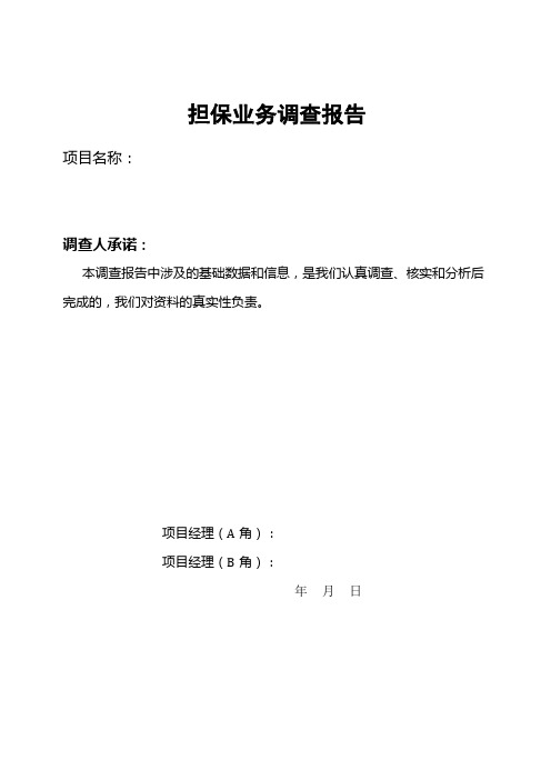 担保调查报告