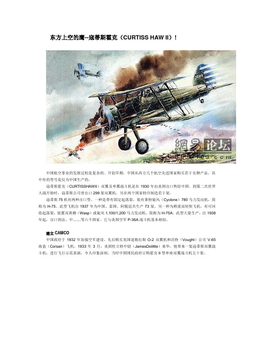 东方上空的鹰--寇蒂斯霍克