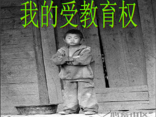 八年级政治维护权利,适应社会2