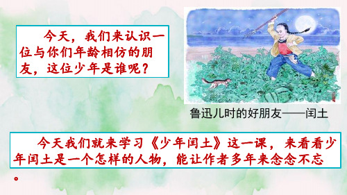 24 少年闰土 部编版六年级上册语文 教学课件
