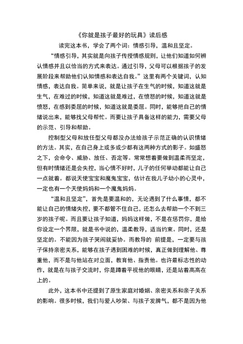 你就是孩子最好的玩具  读后感